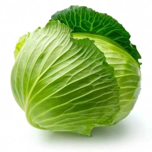 Brassicaceae Example 1