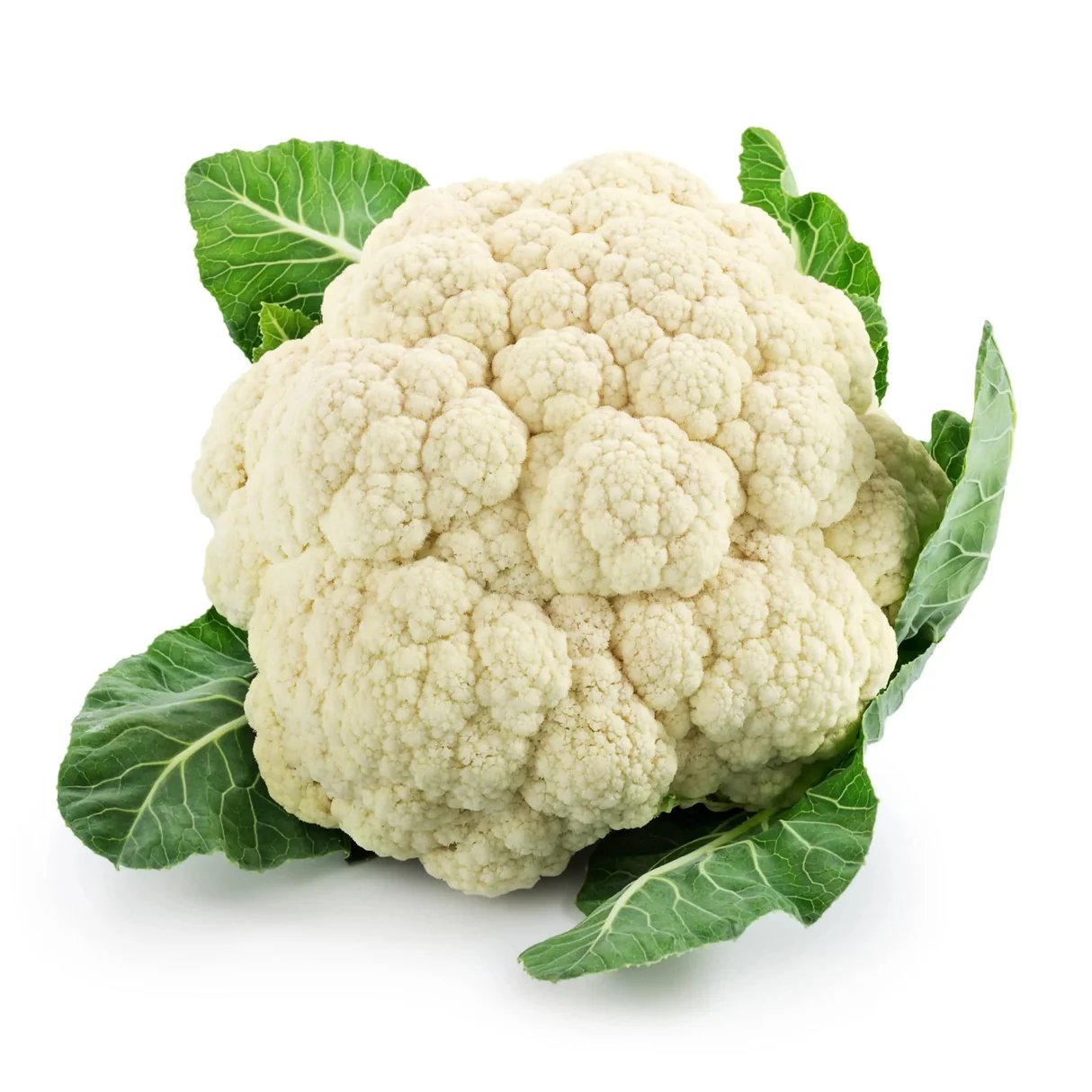 Brassicaceae Example 4